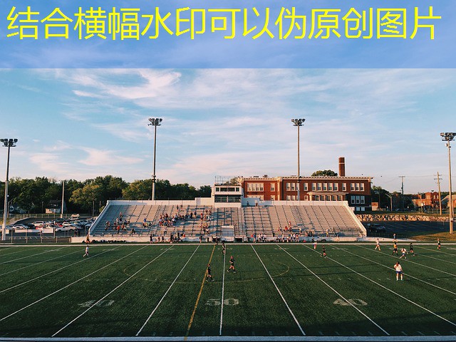 cassino royale site de jogos