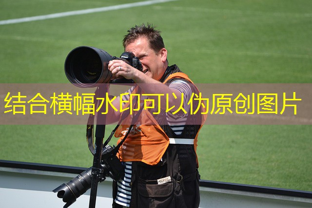 jogo de cassino do coelho