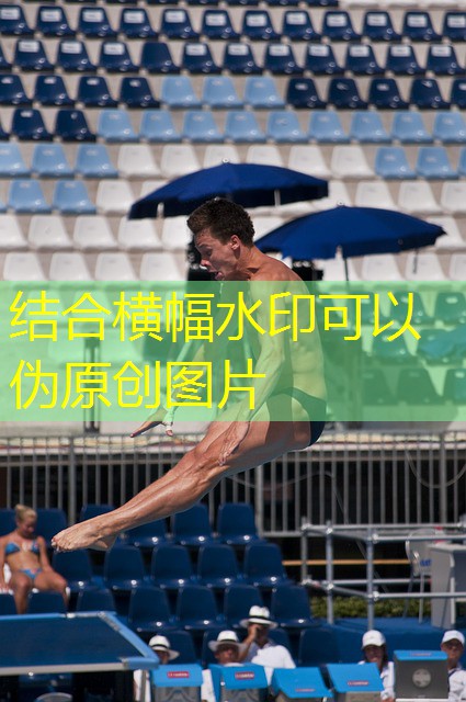 cassino jogo do bicho