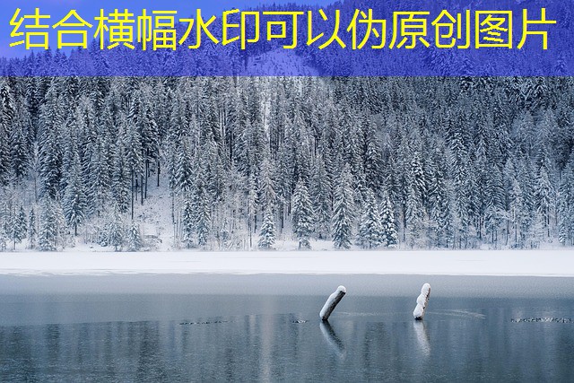 como jogar cassino baralho como jogar cassino baralho