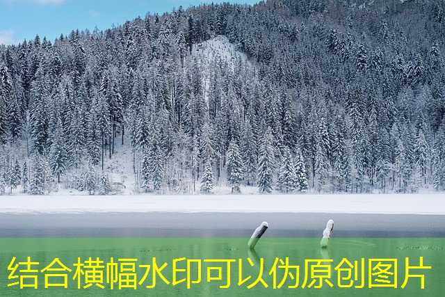 jogo do snook dog cassino jogo do snook dog cassino