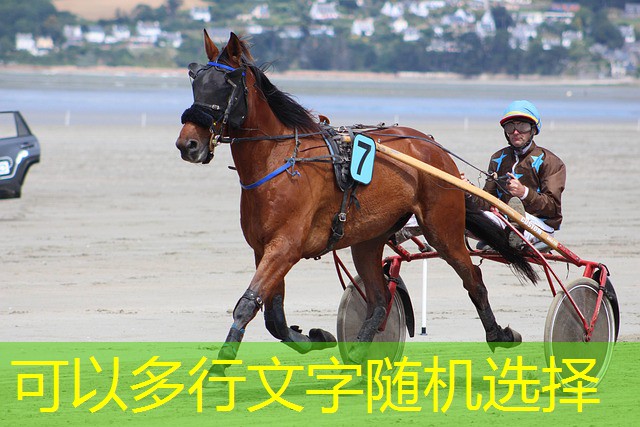 jogar no cassino em ingles