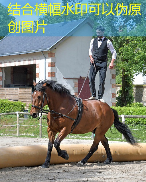 jogos cassino legalidade