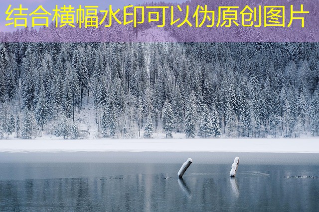 jogo de roleta drink 16 copos cassino roulette bebidas