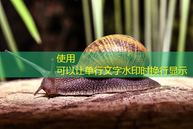 como jogar no cassino bet