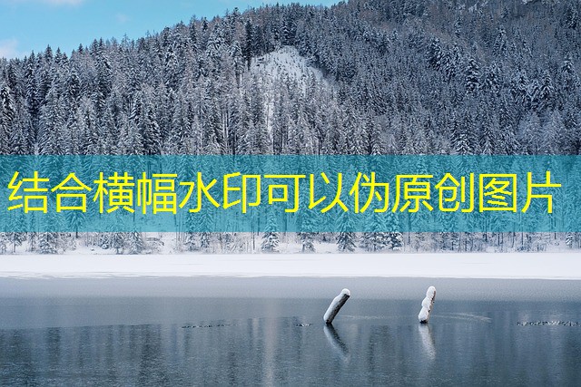 cassino online oppo jogo